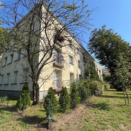 Apartament Centrum Rp Katowice Zewnętrze zdjęcie